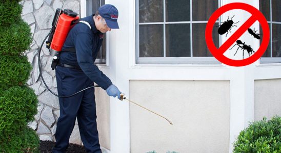 Gölköy Gümüşkurt İlaçlama böcek ilaçlama ve haşere kontrolü — ilaclama-tr.com